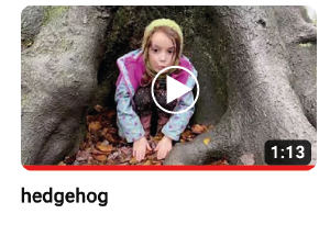 Passion Project Filming & Editing